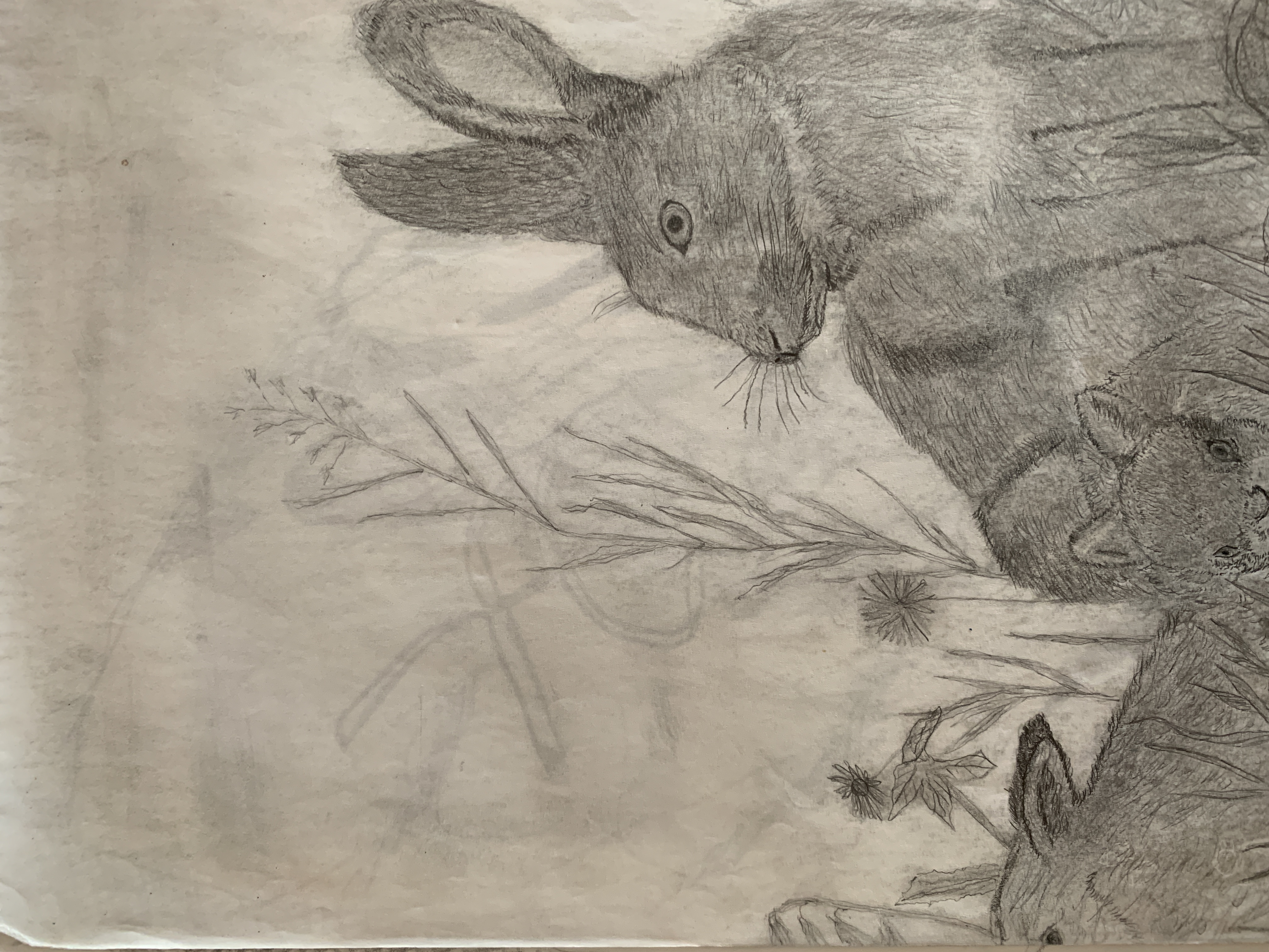 Image 29
