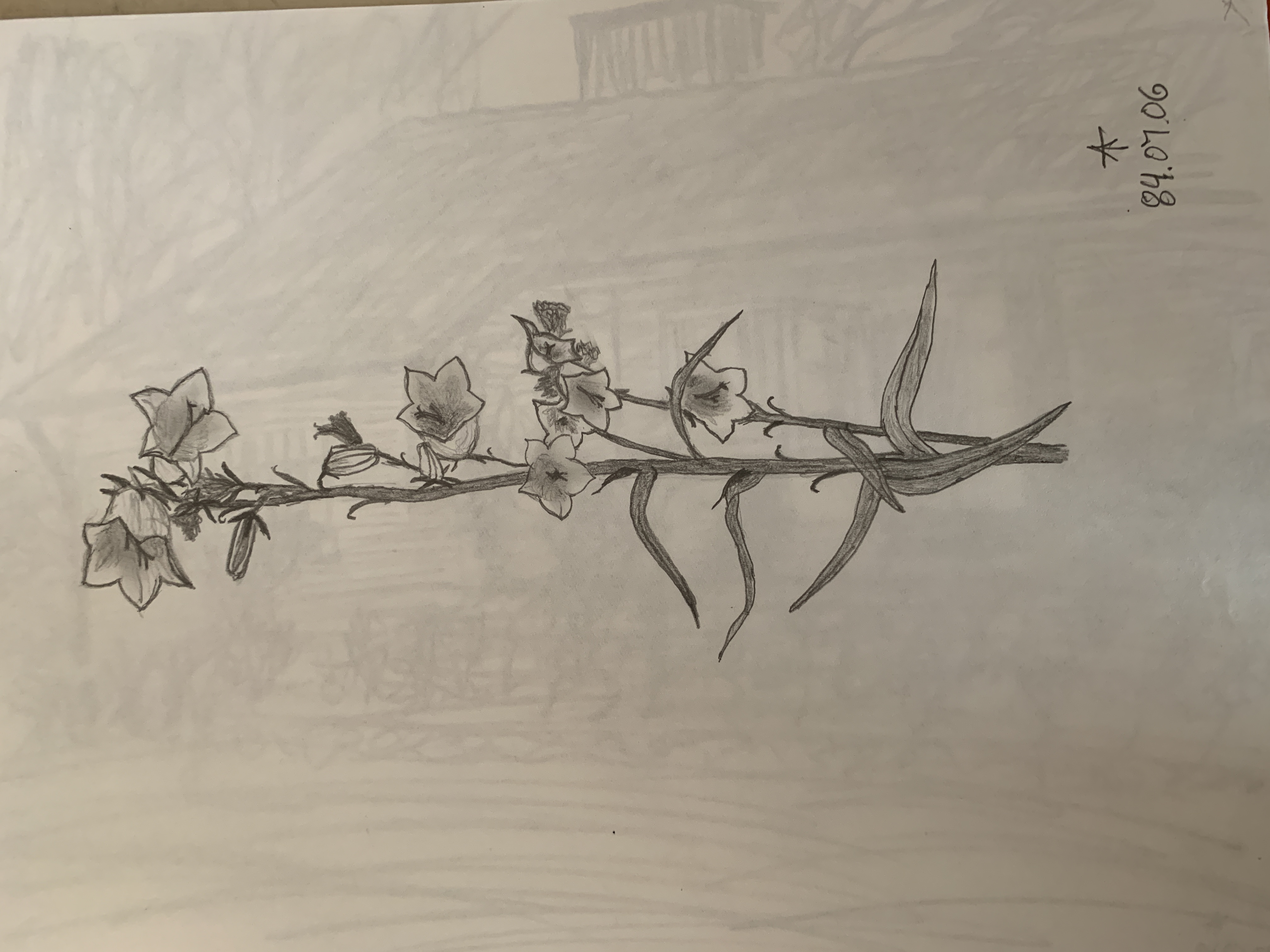 Image 34