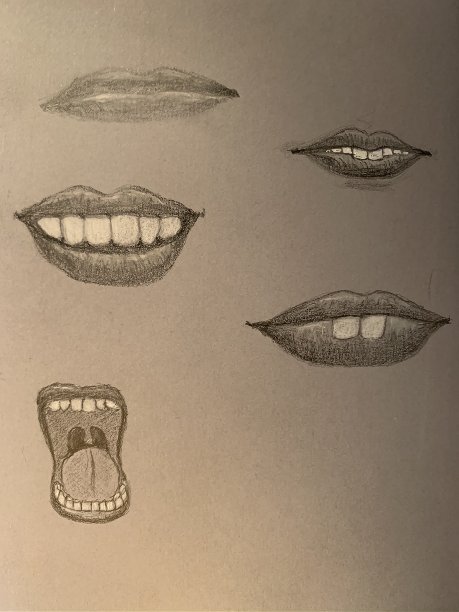 Image 37