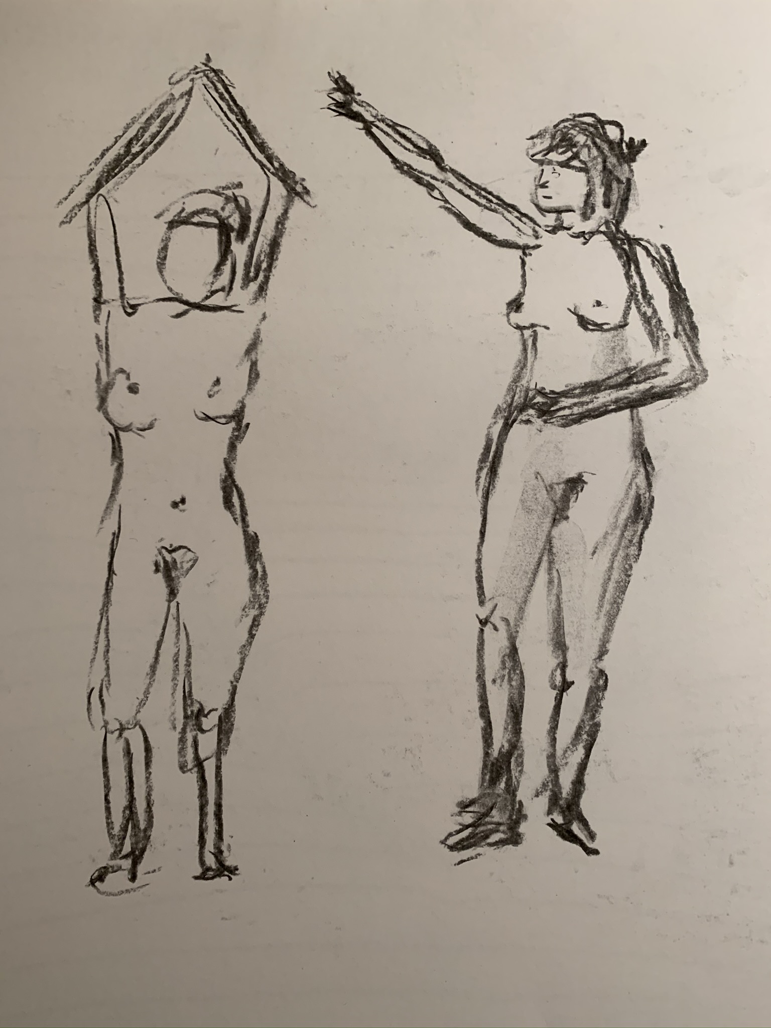 Image 50