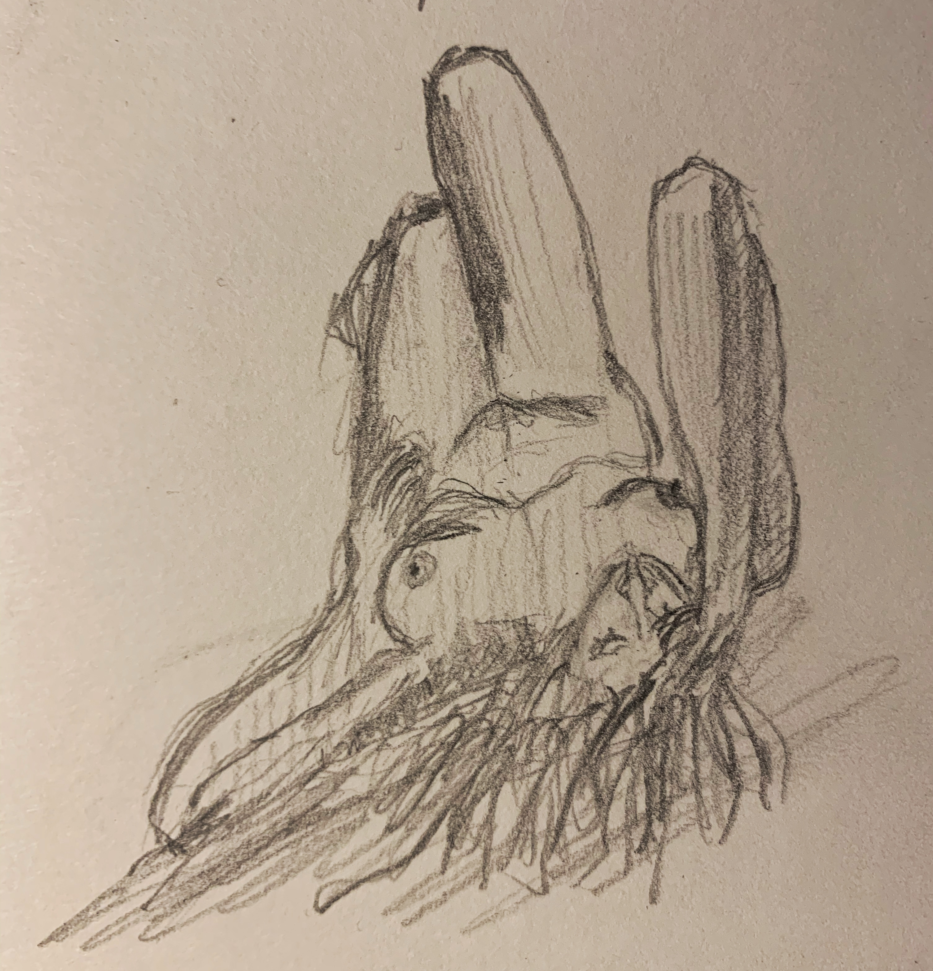 Image 2308