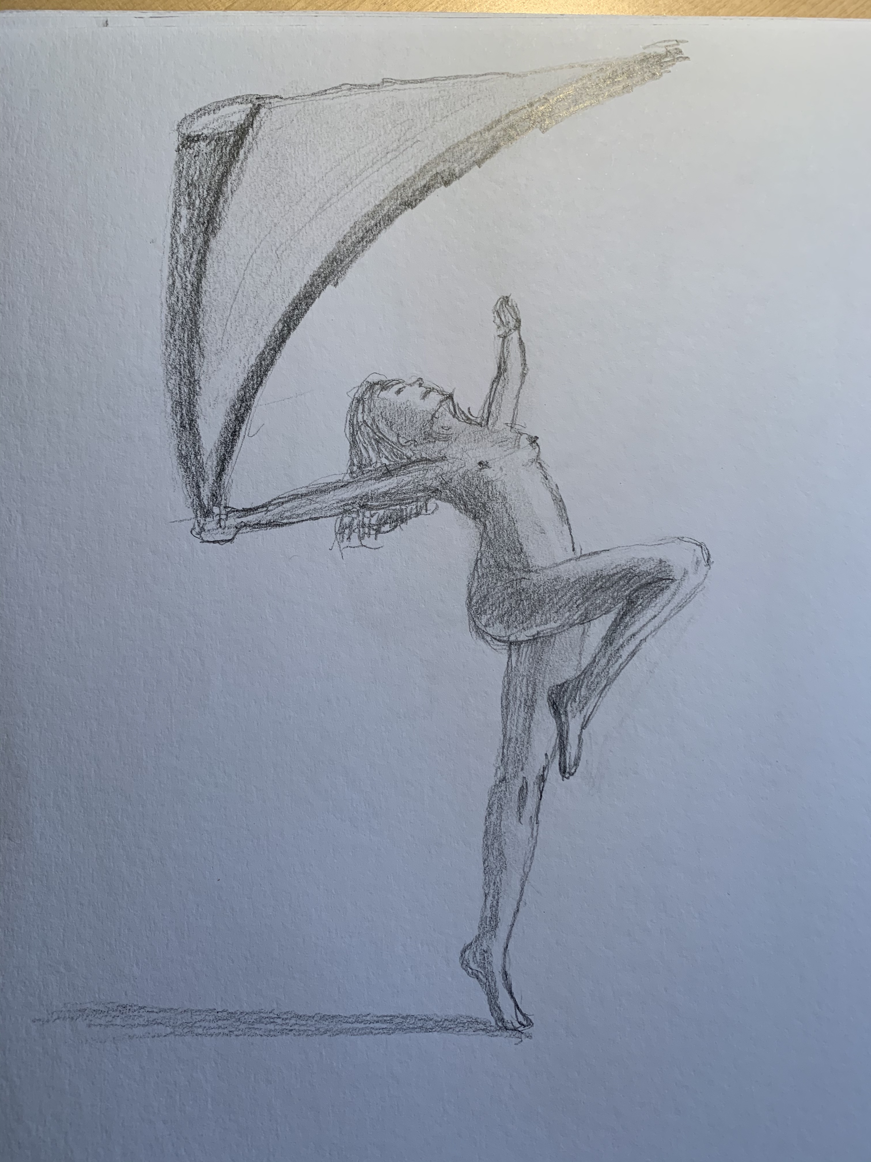 Image 2316