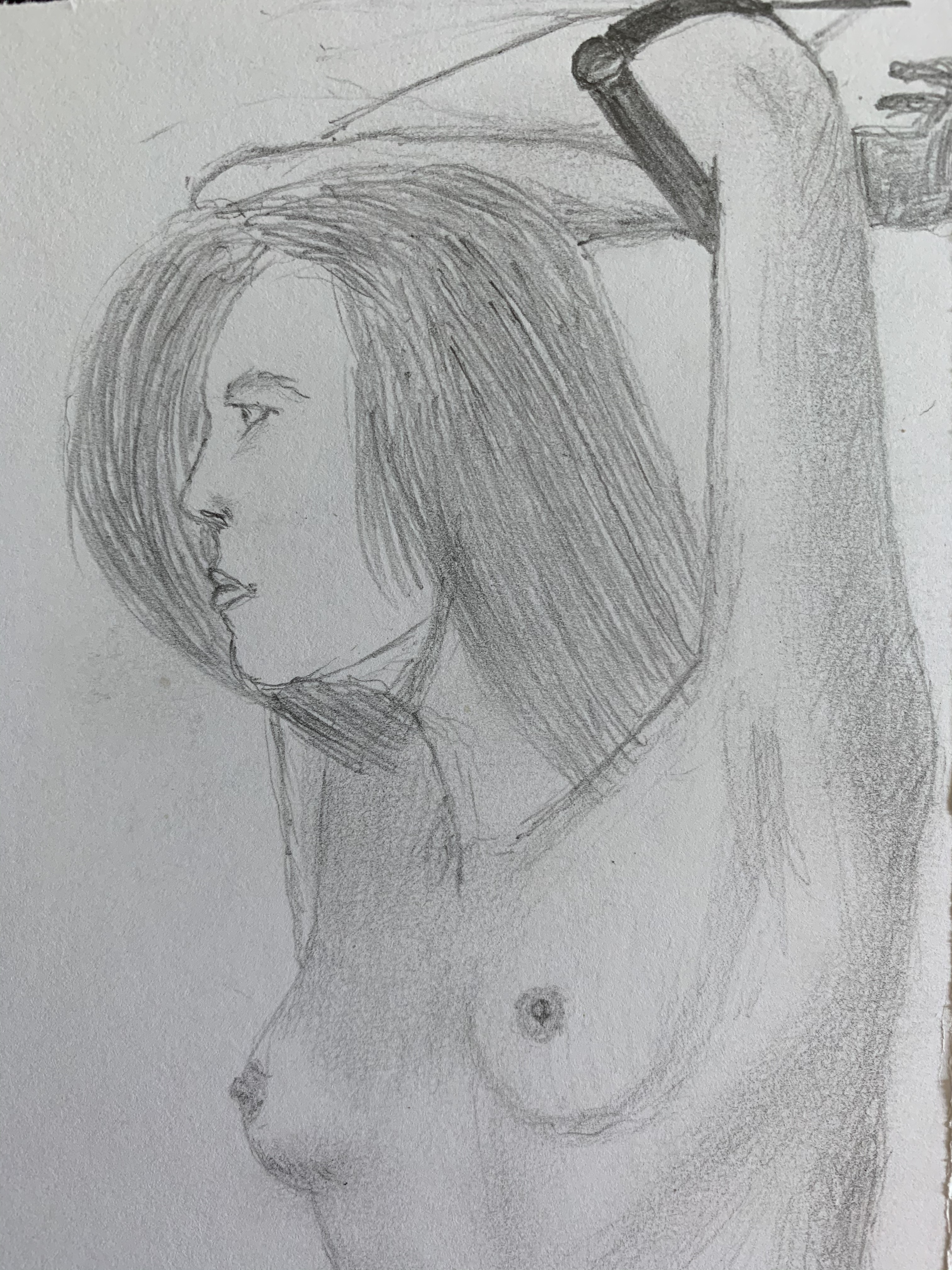 Image 3303