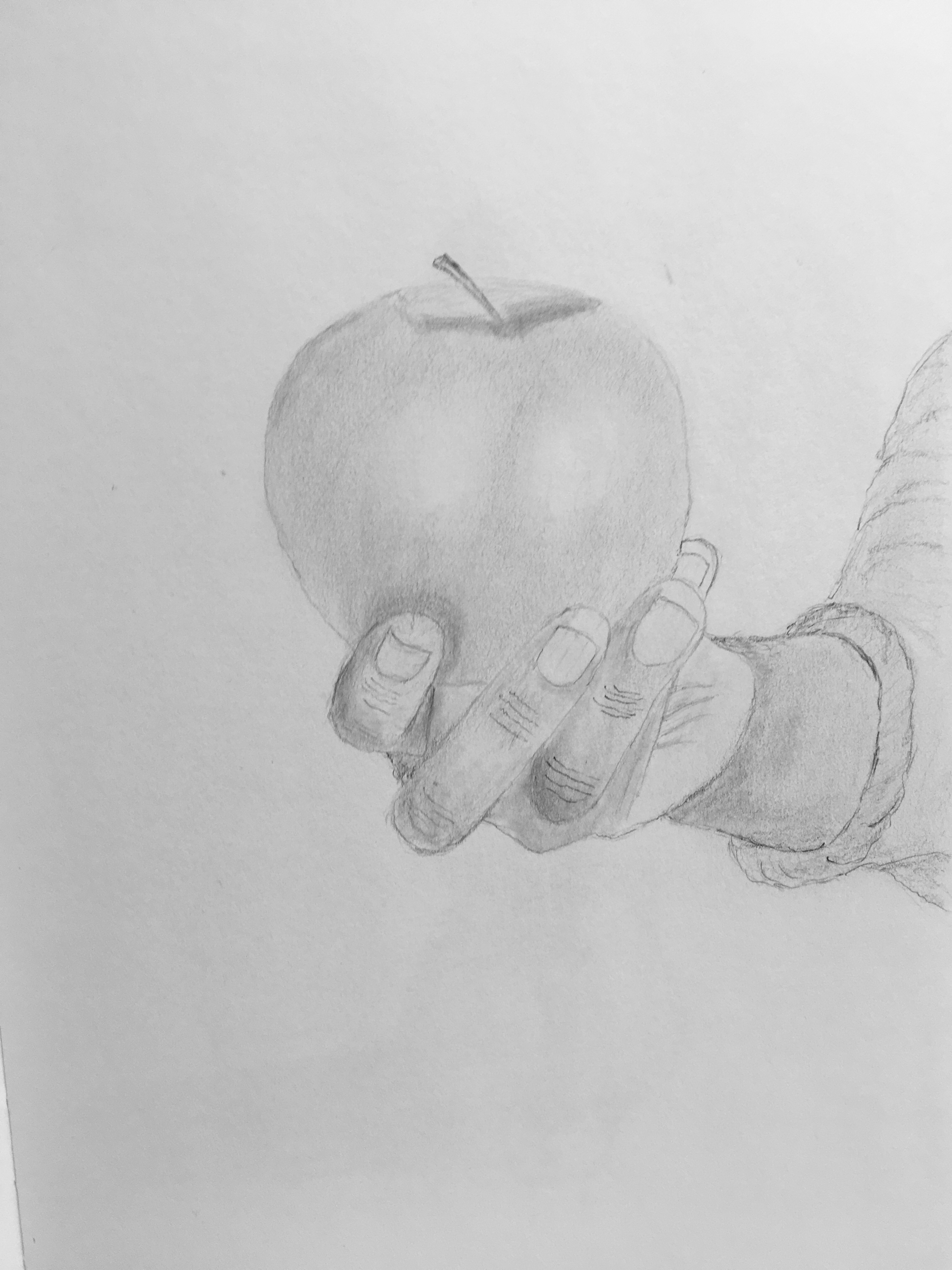 Image 3856