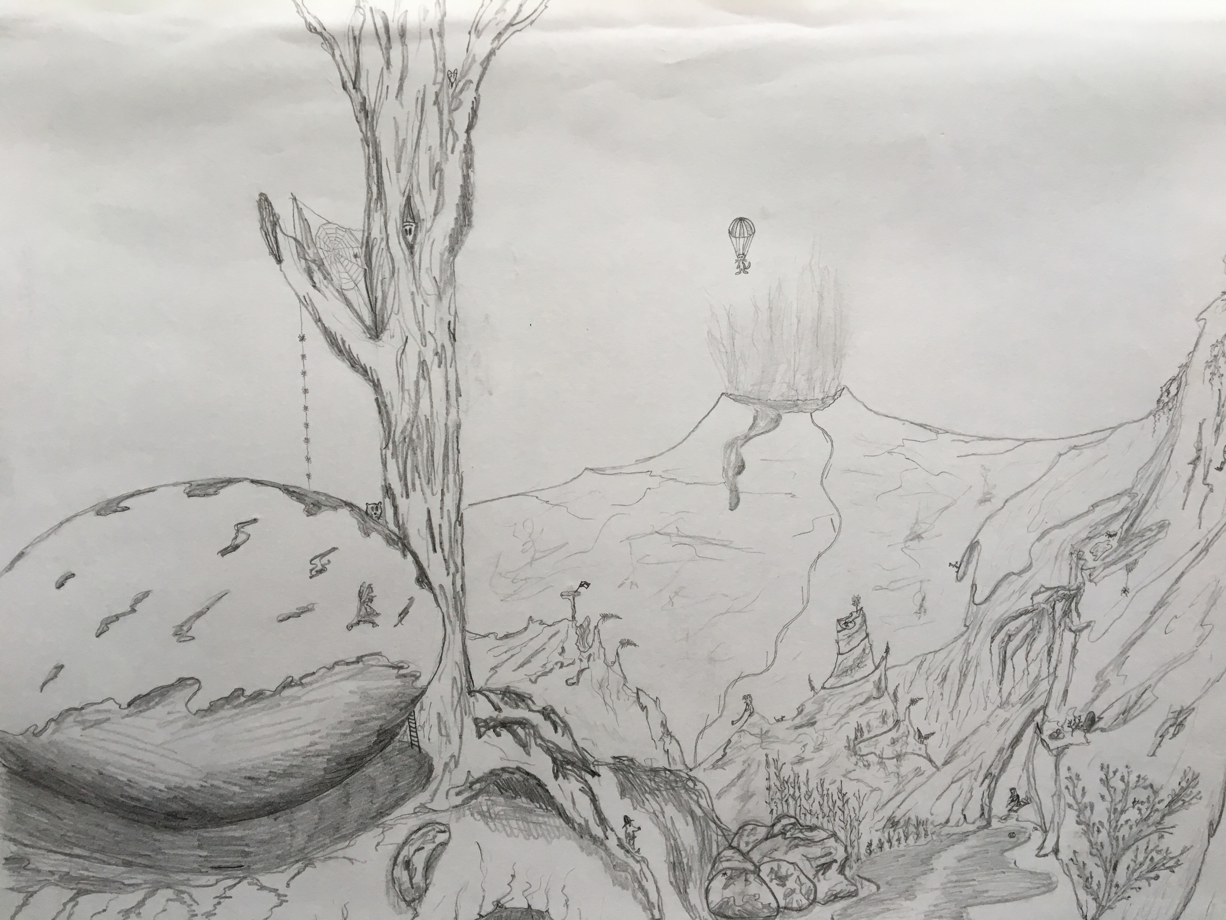 Image 3994