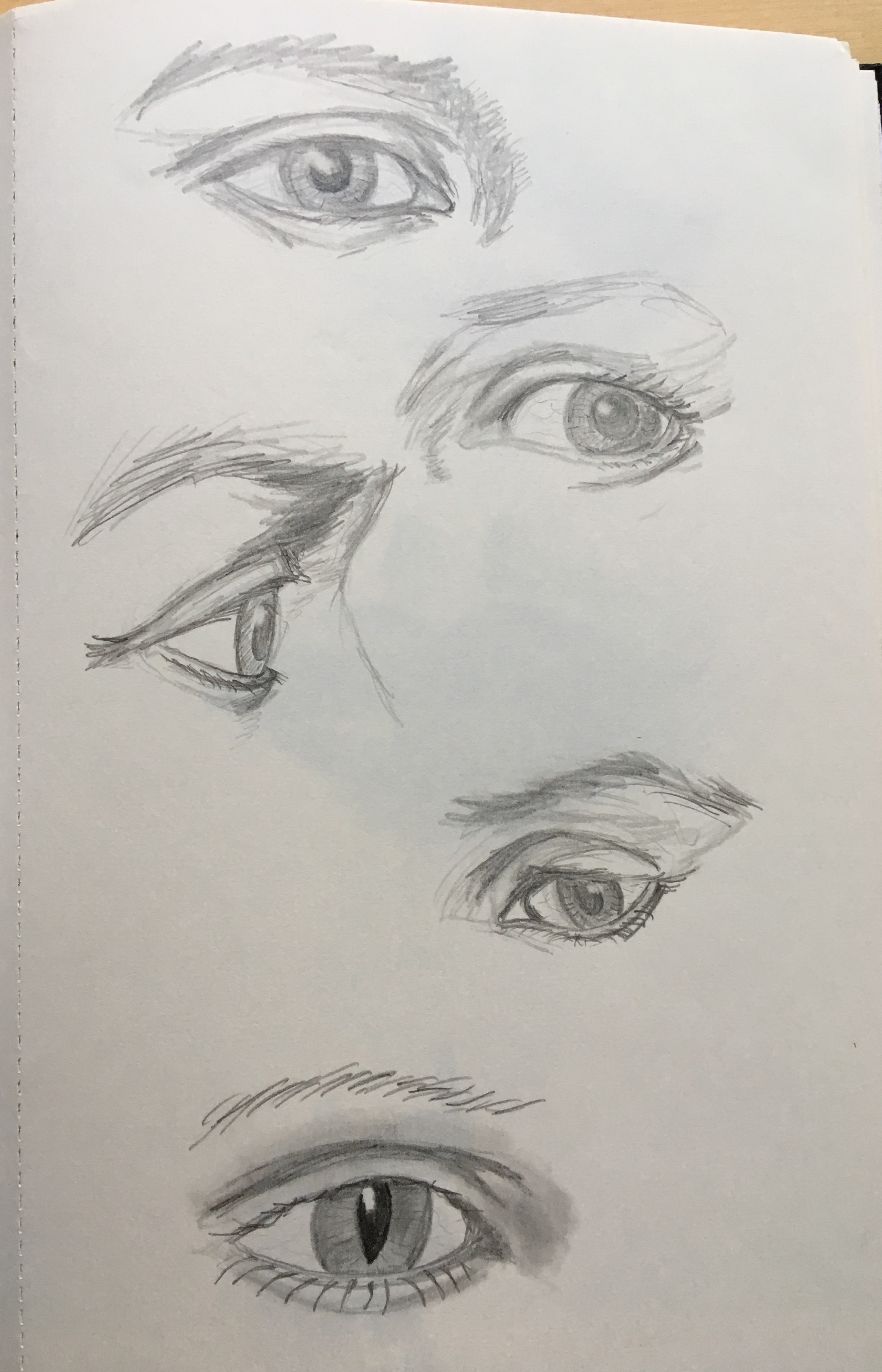 Image 4022