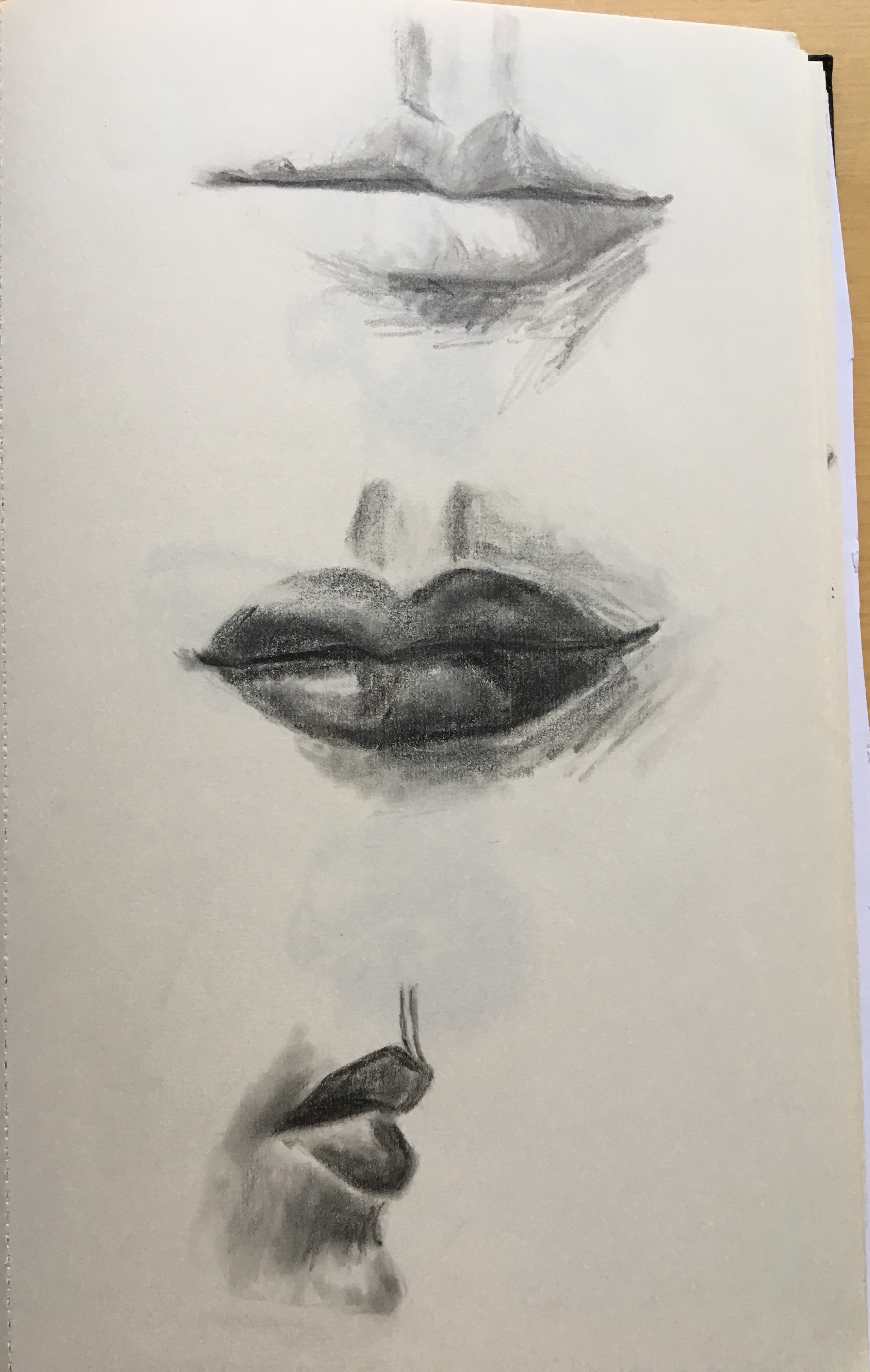 Image 4023
