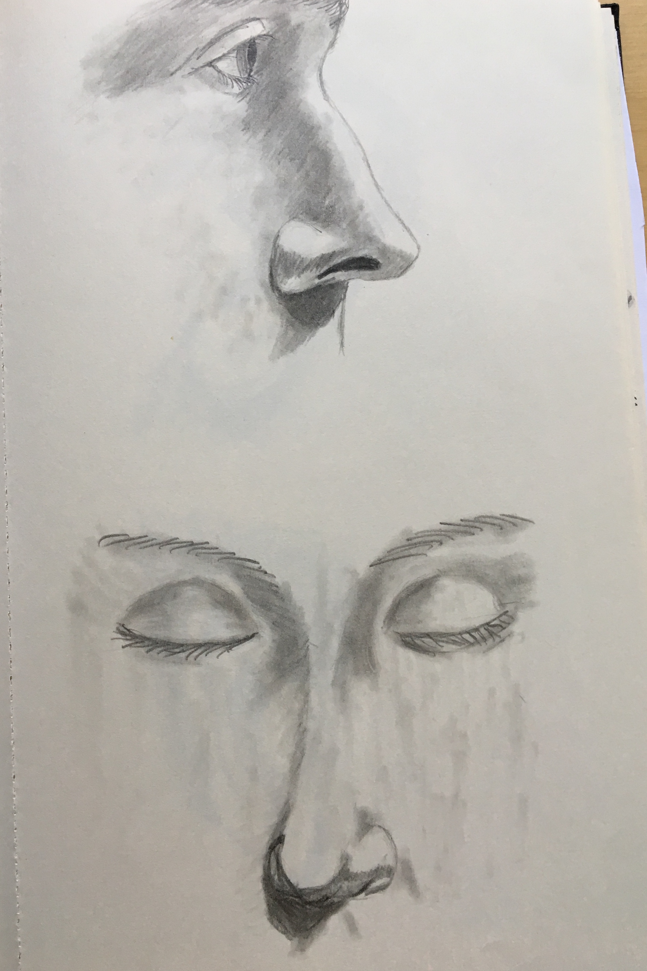 Image 4025