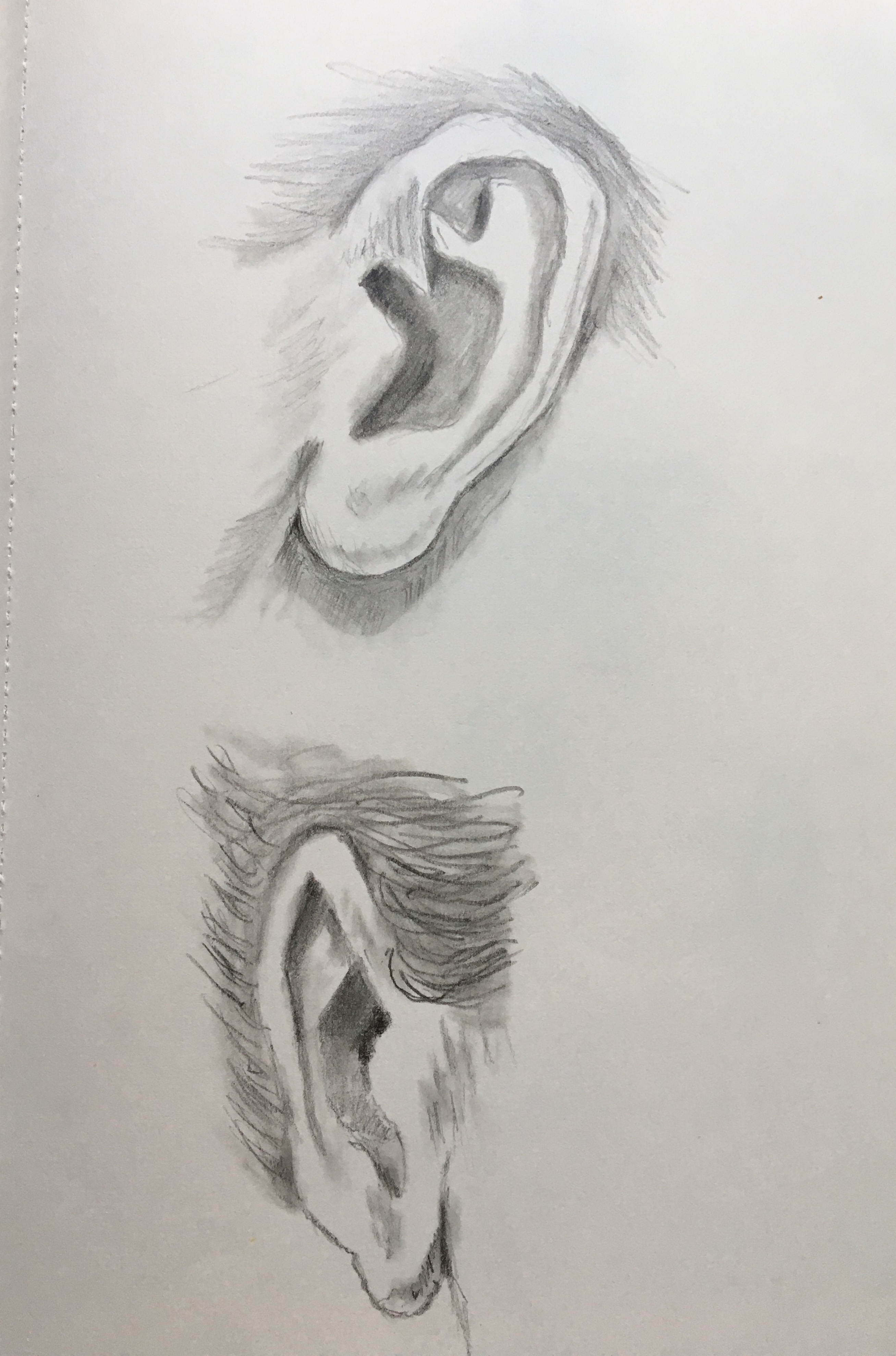 Image 4026
