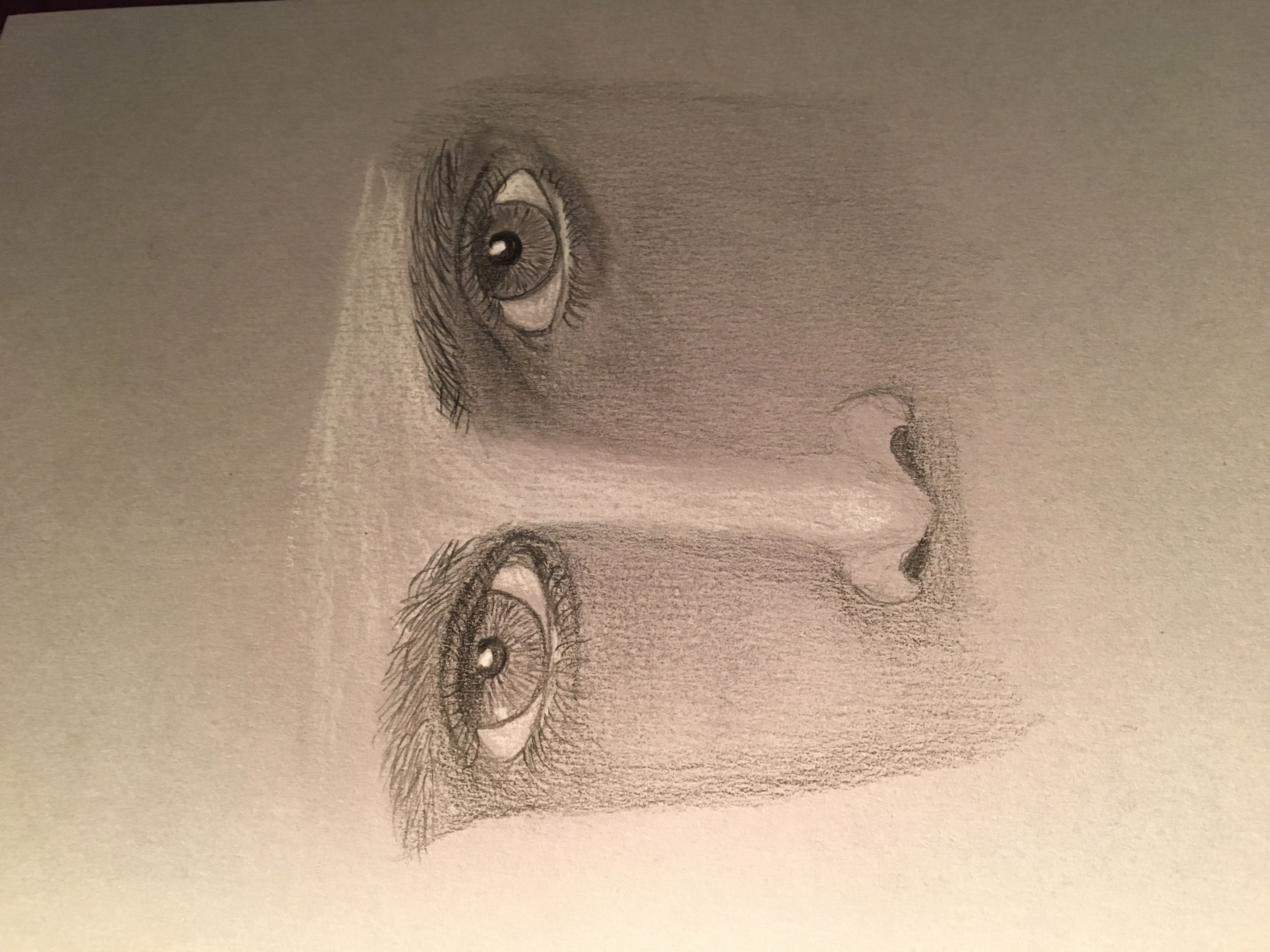 Image 4033