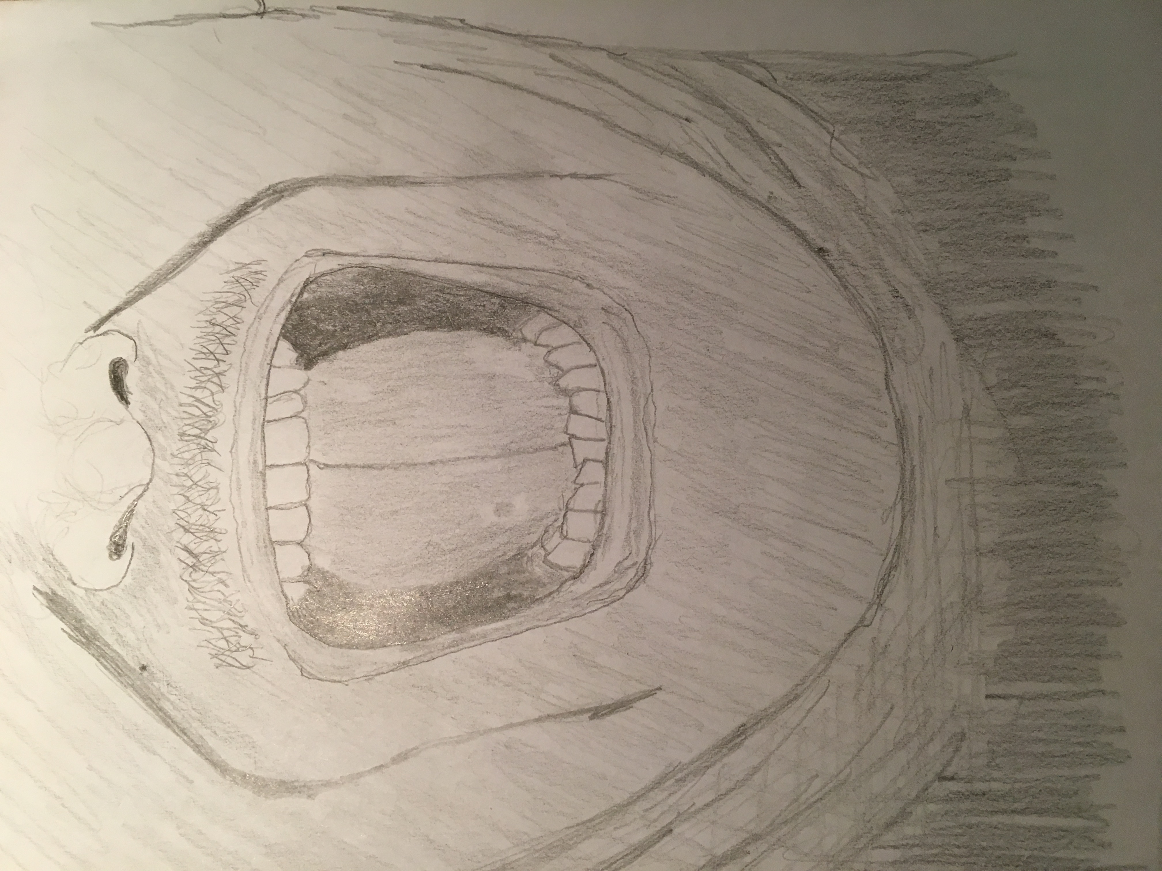Image 4095