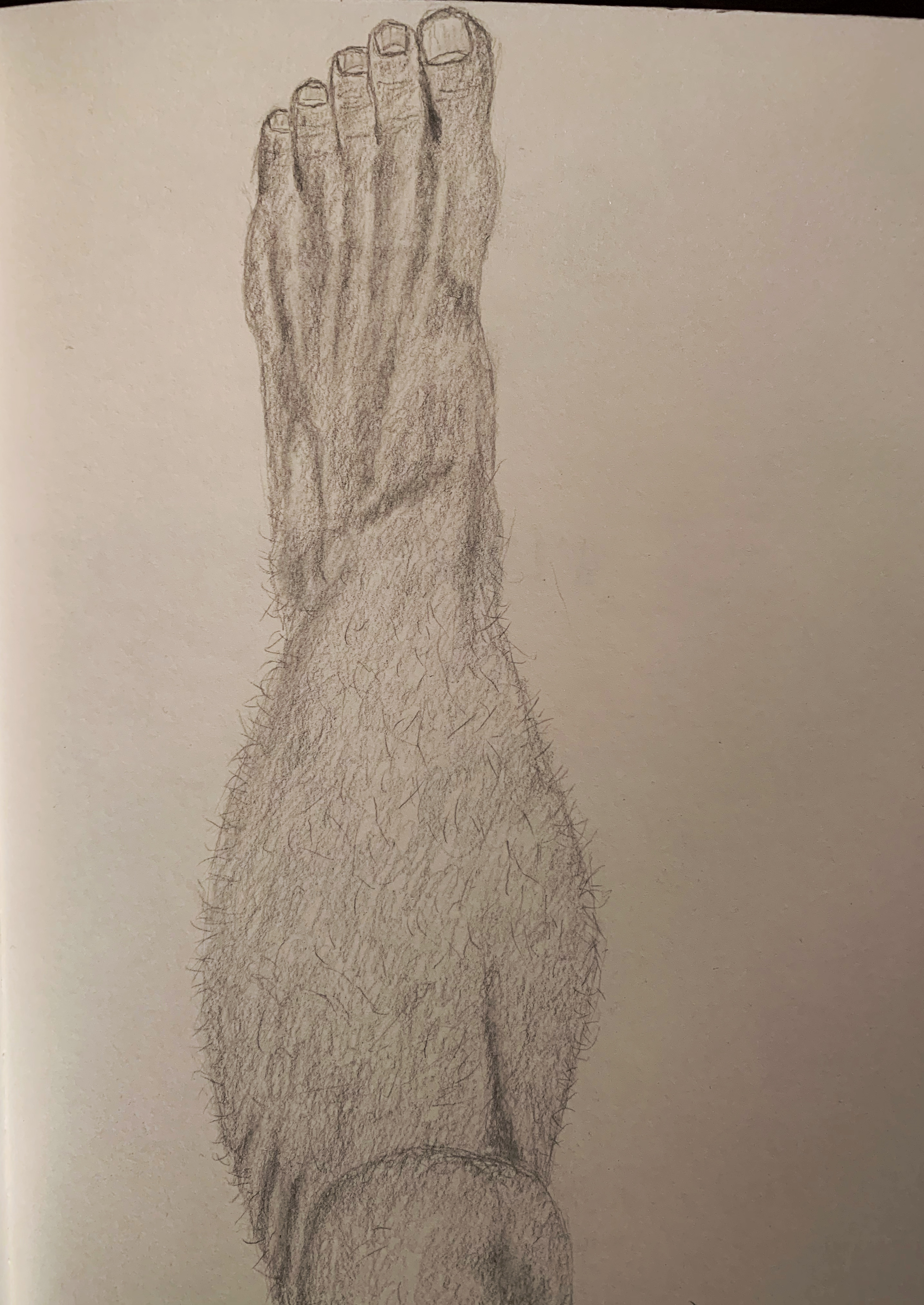 Image 4507